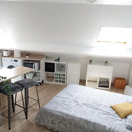 公寓 Cosy Lys - Studio - Centre 波城