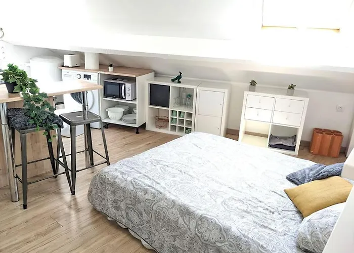 Cosy Lys T1 - Centre Bosquet & Clemenceau *